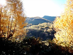 DSCN9505 DSCN9505