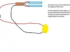 circuito neones