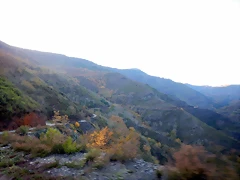 DSCN0035 DSCN0035