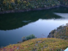 DSCN6534 DSCN6534