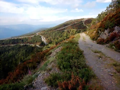 DSCN5119 DSCN5119