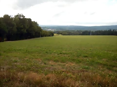 DSCN4342