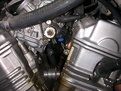 DSCN5647