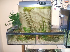 DSCF1511 DSCF1511
