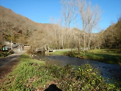 DSCN9083 DSCN9083