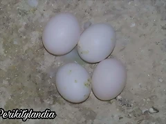 FB_IMG_1571391611954