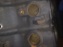 IMAG1011 IMAG1011