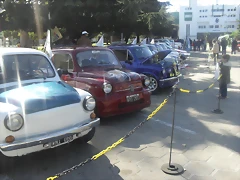 SDC12490 SDC12490