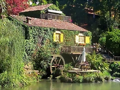 IMG_9006 IMG_9006