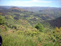 DSCN5003 DSCN5003