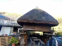 DSCN9060 DSCN9060