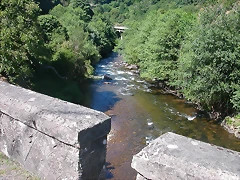 DSCN2322 DSCN2322