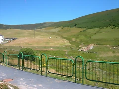 DSCN2271 DSCN2271