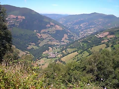 DSCN2277 DSCN2277