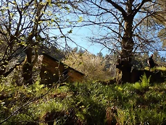 DSCN8996 DSCN8996