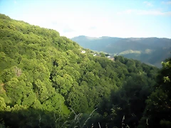 DSCN4311 DSCN4311