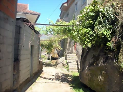 DSCN7811 DSCN7811