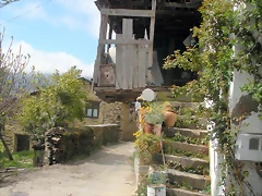DSCN3929 DSCN3929