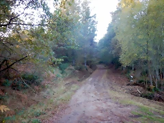 DSCN8956 DSCN8956