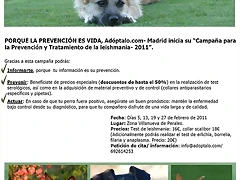 cartel nuevo cartel nuevo