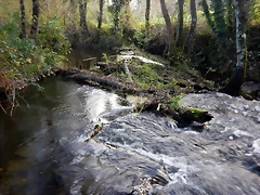 DSCN0528 DSCN0528