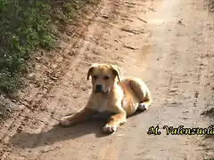 16, tomando el sol, marca