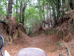 IMG_0414 IMG_0414