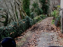 DSCN2070 DSCN2070