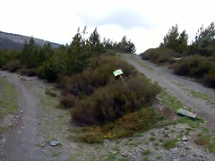 DSCN1228'9 DSCN1228'9