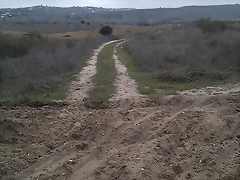 IMAG0071