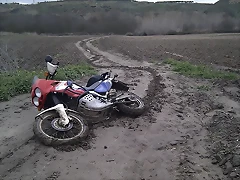 IMAG0083