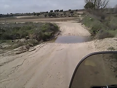 IMAG0080