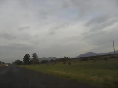 SDC11081 SDC11081
