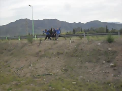 SDC11088 SDC11088