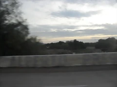 SDC11098 SDC11098