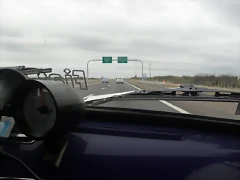 SDC11133 SDC11133