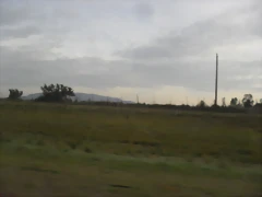 SDC11082 SDC11082