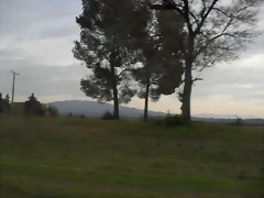 SDC11083 SDC11083