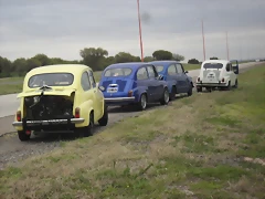 SDC11113 SDC11113