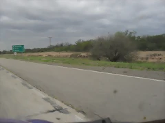 SDC11117 SDC11117