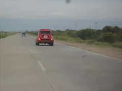SDC11094 SDC11094