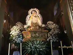 14, la virgen 1, marca