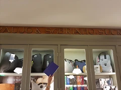 10 Araujo 10 Araujo