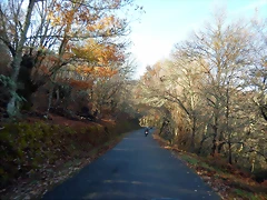 DSCN1053 DSCN1053