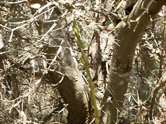 P5050070 P5050070