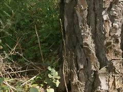 P5050065 P5050065