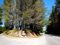 DSCN2299 DSCN2299