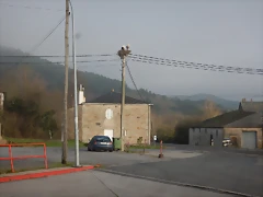 DSCN1499 DSCN1499