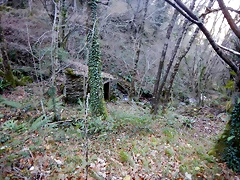 DSCN0135 DSCN0135