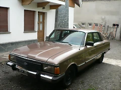 falcon pintadito falcon pintadito